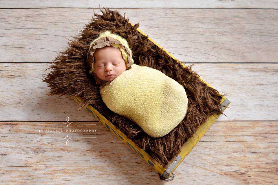 Dark Brown Curly Alpaca Faux Flokati Fur Newborn Photography Prop - Beautiful Photo Props