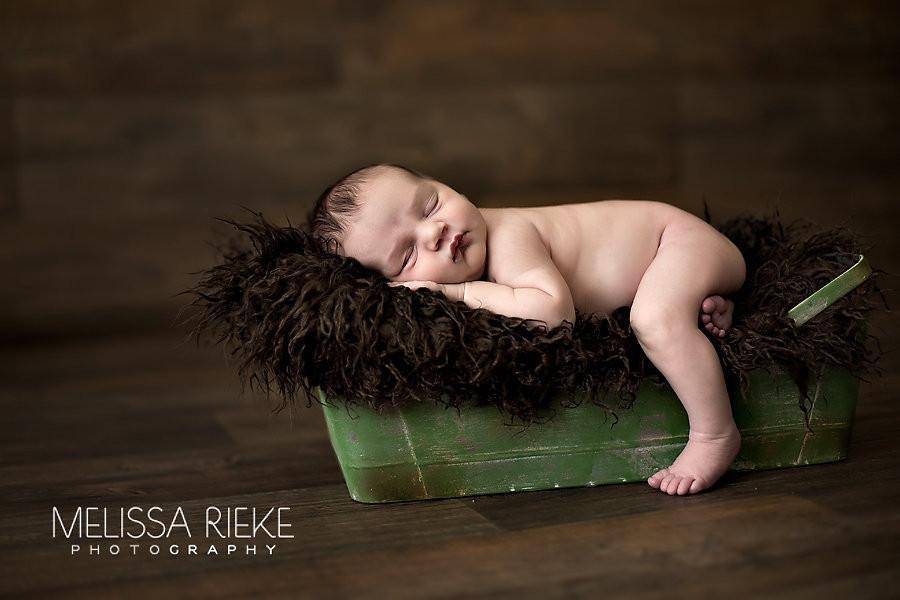 Dark Brown Super Long Faux Fur Photography Prop Rug - Beautiful Photo Props