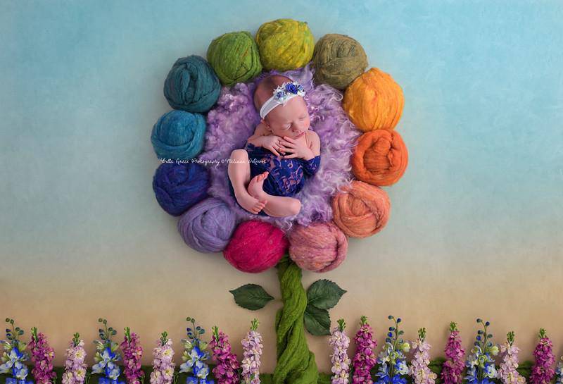 Stretch Lace Wrap in Royal Blue - Beautiful Photo Props