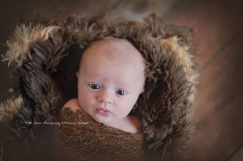 Dark Brown Pelagio Faux Fur Photography Prop Rug - Beautiful Photo Props