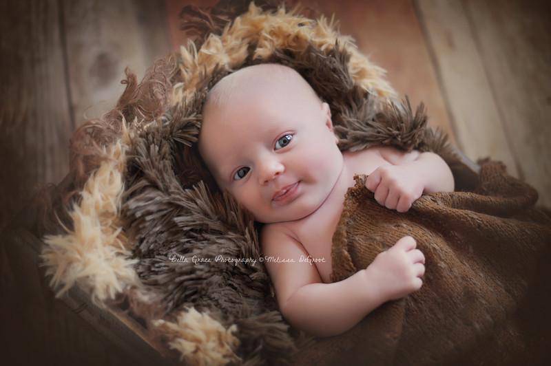 Dark Brown Pelagio Faux Fur Photography Prop Rug - Beautiful Photo Props