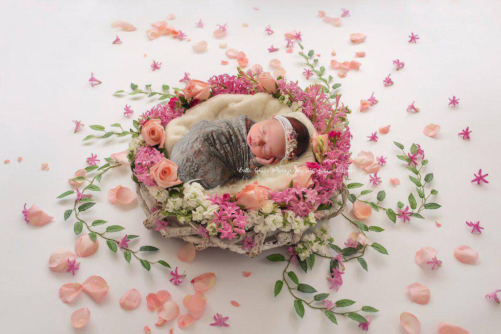 Stretch Lace Wrap in Taupe - Beautiful Photo Props