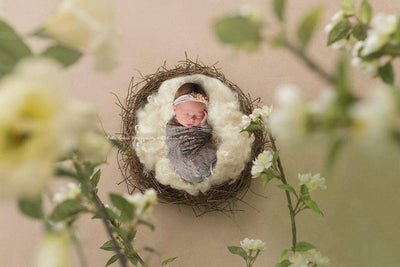 Stretch Lace Wrap in Taupe - Beautiful Photo Props