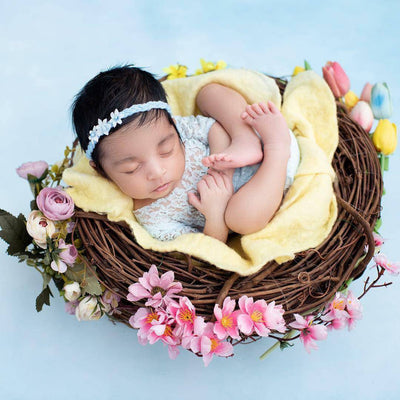 Wood Branch Newborn Owl Bird Nest Newborn Photography Photo Prop - Beautiful Photo Props