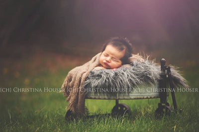 Gray Mongolian Fur Nest Photography Prop Rug Newborn Baby - Beautiful Photo Props