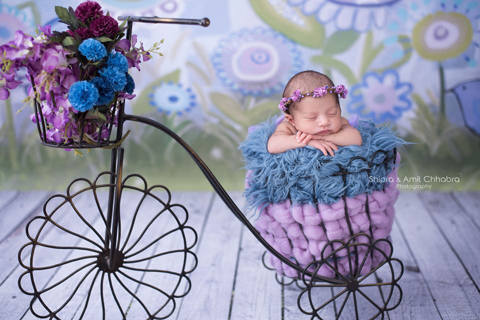 Blue Faux Flokati Alpaca Fur Rug Newborn Photography Prop - Beautiful Photo Props