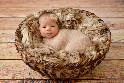 CLEARANCE African Beige Brown Faux Flokati Fur 29X27 - Beautiful Photo Props